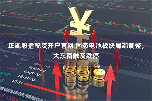 正规股指配资开户官网 固态电池板块局部调整，大东南触及跌停