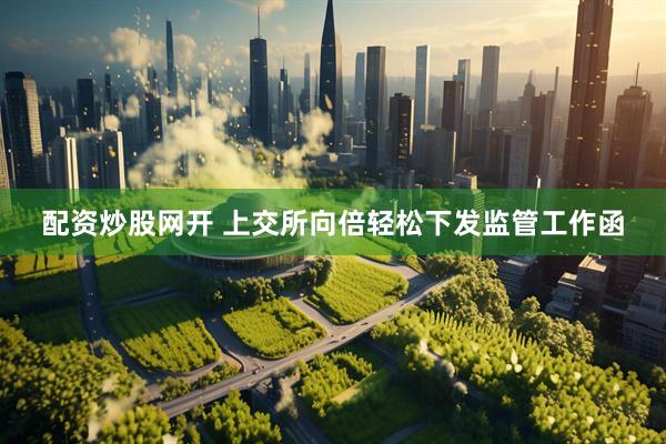 配资炒股网开 上交所向倍轻松下发监管工作函