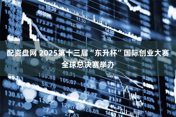 配资盘网 2025第十三届“东升杯”国际创业大赛全球总决赛举办
